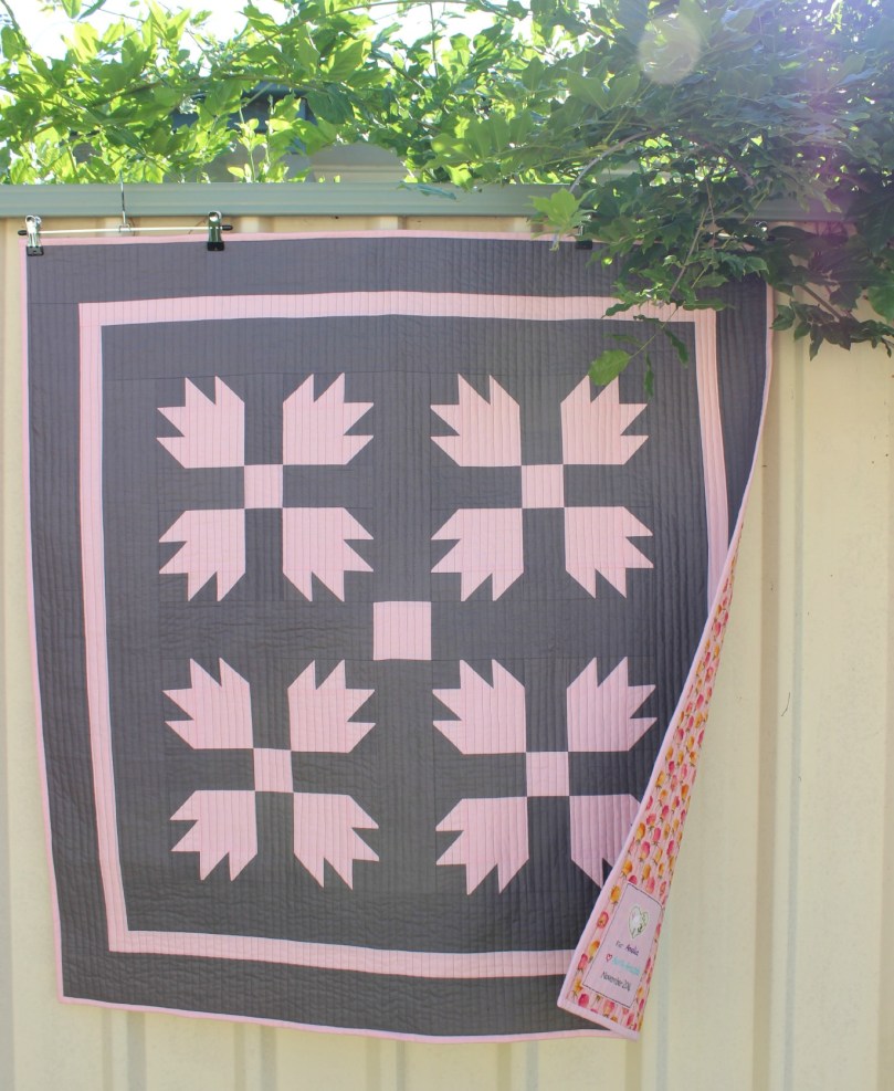 Amelia's Baby Quilt (2014)